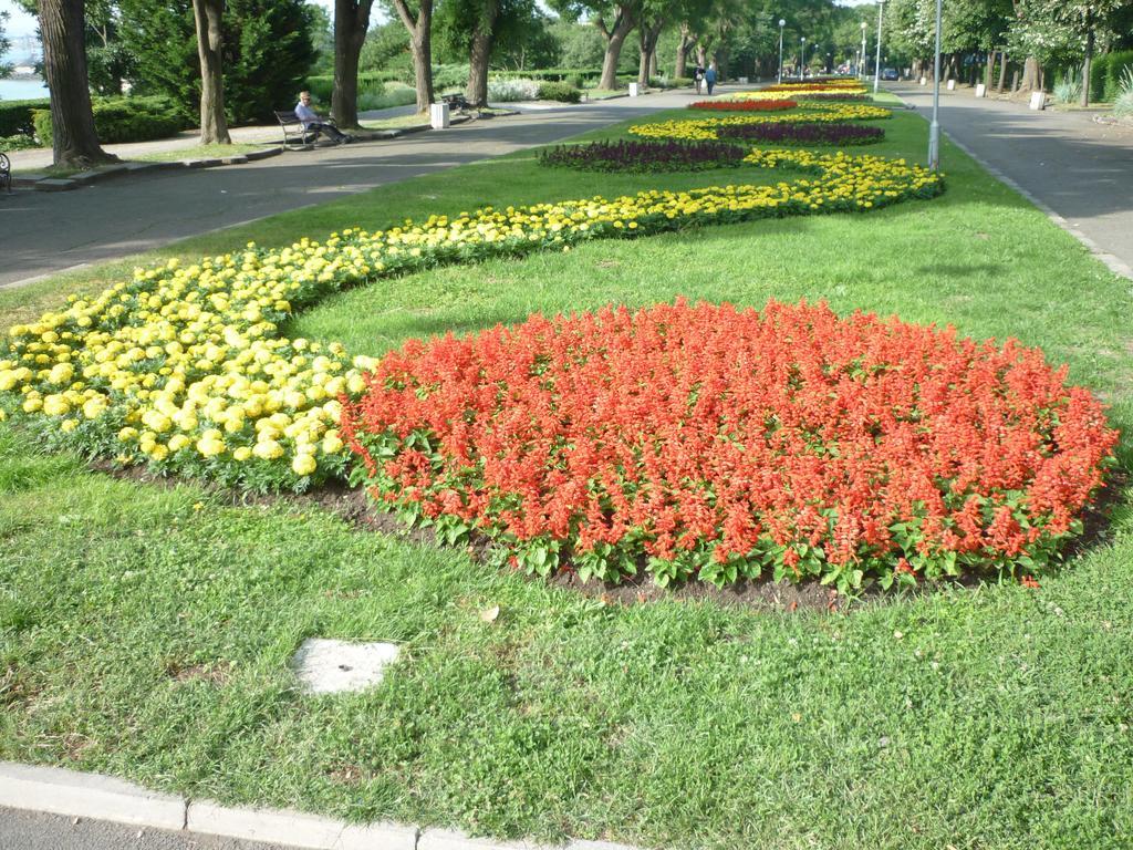 Sea Garden Plaza Apartment - Free Parking Burgas Room photo